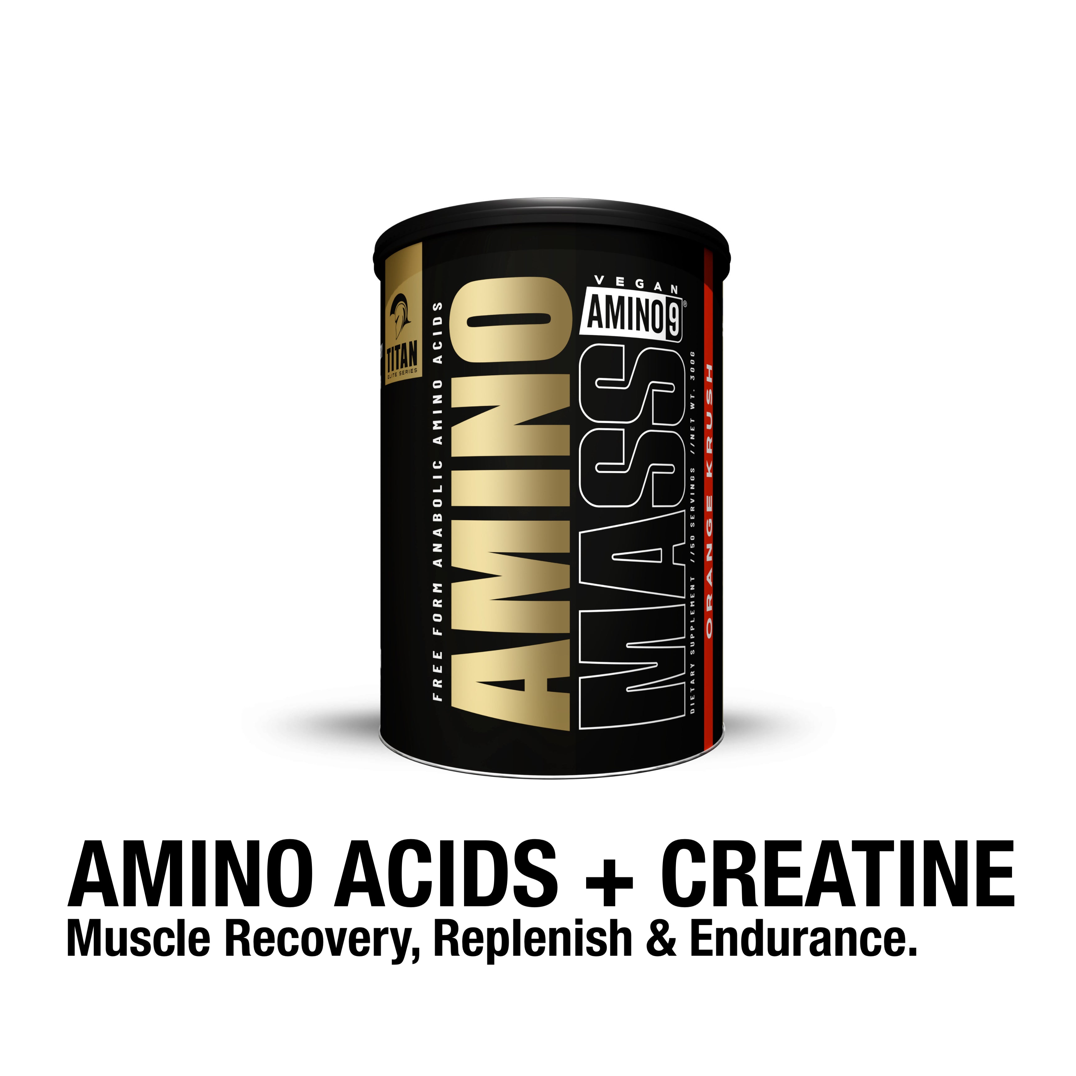 AMINO ACIDS + CREATINE